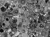 Indigenous Art Prints